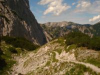 2014-08-02_06FritzPflaum-Steig (240).JPG